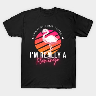 Flamingo Lovers, This Is My Human Costume I'm Really A Flamingo, funny halloween T-Shirt